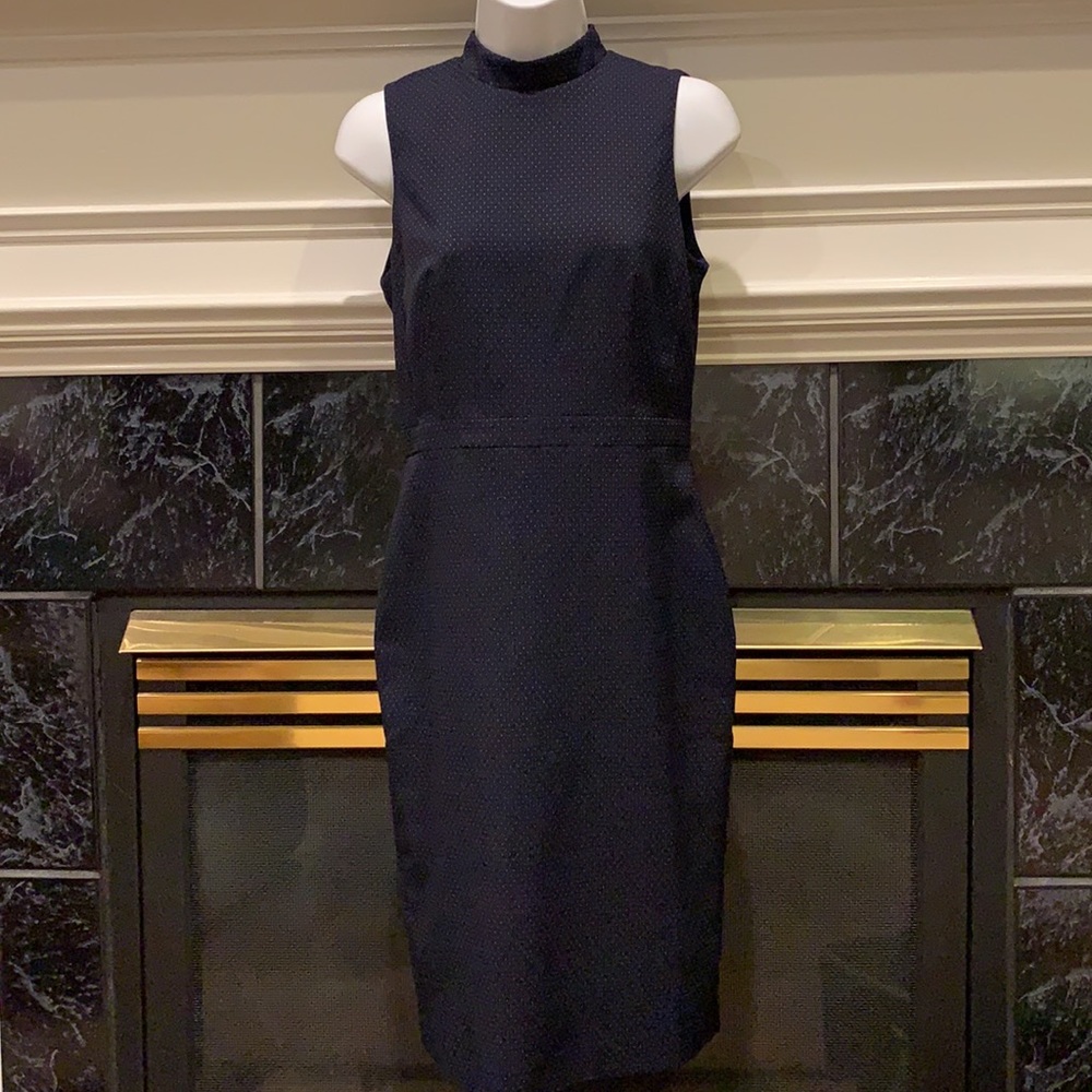 Ann Taylor Dress